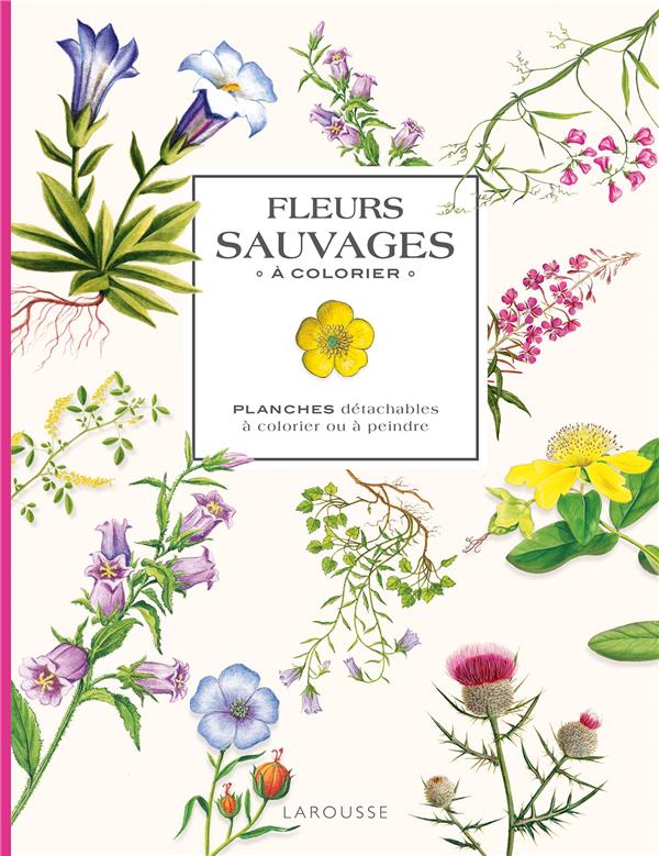 Fleurs sauvages à colorier : Planches détachables à colorier ou à peindre