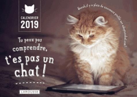 Tu peux pas comprendre, t'es pas un chat ! calendrier