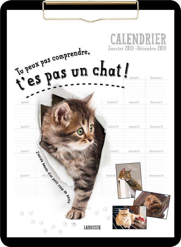 Tu peux pas comprendre, t'es pas un chat !