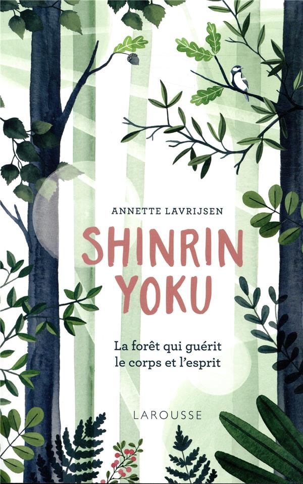 Shinrin yoku, la forêt qui guérit le corps et l'esprit