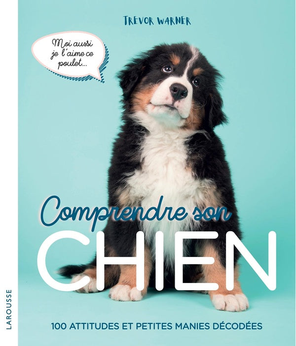 Comprendre son chien ; 100 attitudes et petites manies décodées