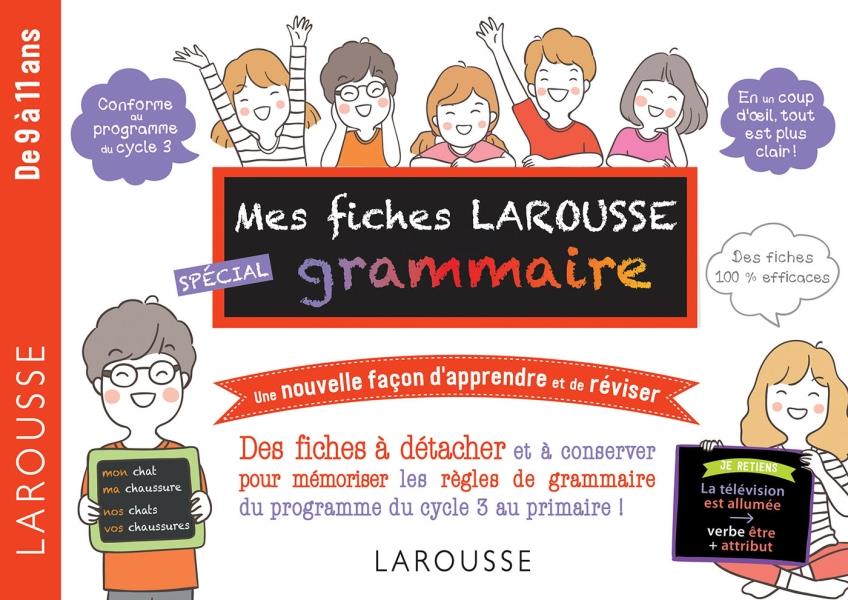 Mes fiches Larousse spécial grammaire
