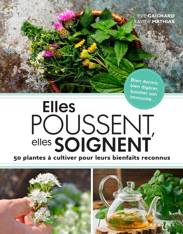 Elles poussent, elles soignent ; 50 plantes à cultiver pour leurs bienfaits reconnus