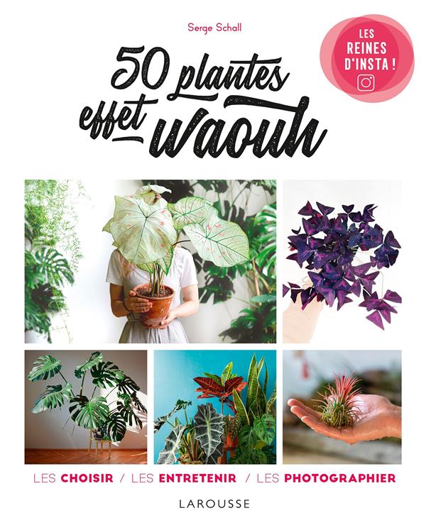 50 plantes effet waouh ; les choisir, les entretenir, les photographier