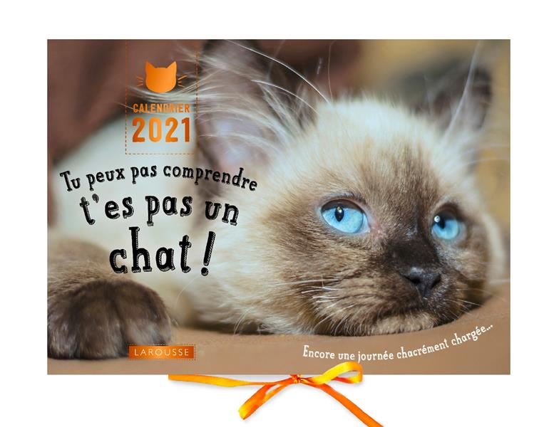 Calendrier tu peux pas comprendre, t'es pas un chat ! (édition 2021)