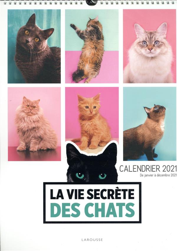 La vie secrète des chats (édition 2021)