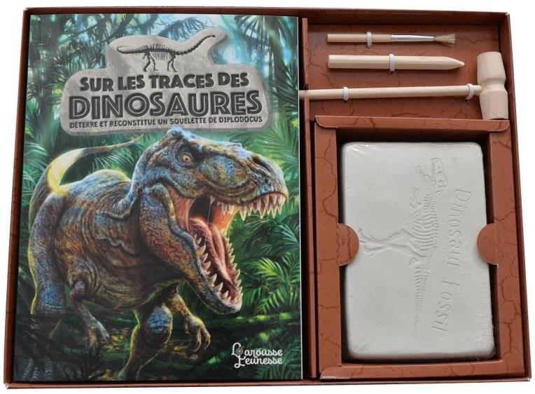 Sur les traces des dinosaures