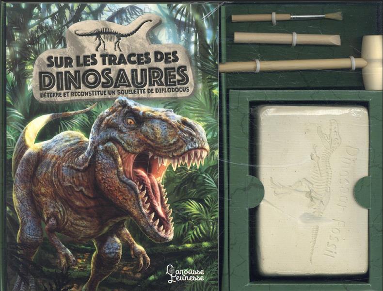 Sur les traces des dinosaures