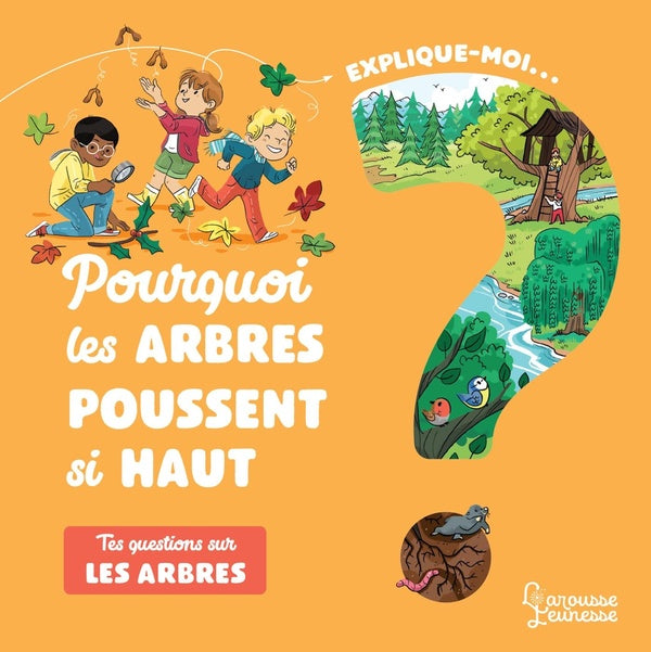Explique-moi : pourquoi les arbres poussent si haut ; tes questions sur les arbres
