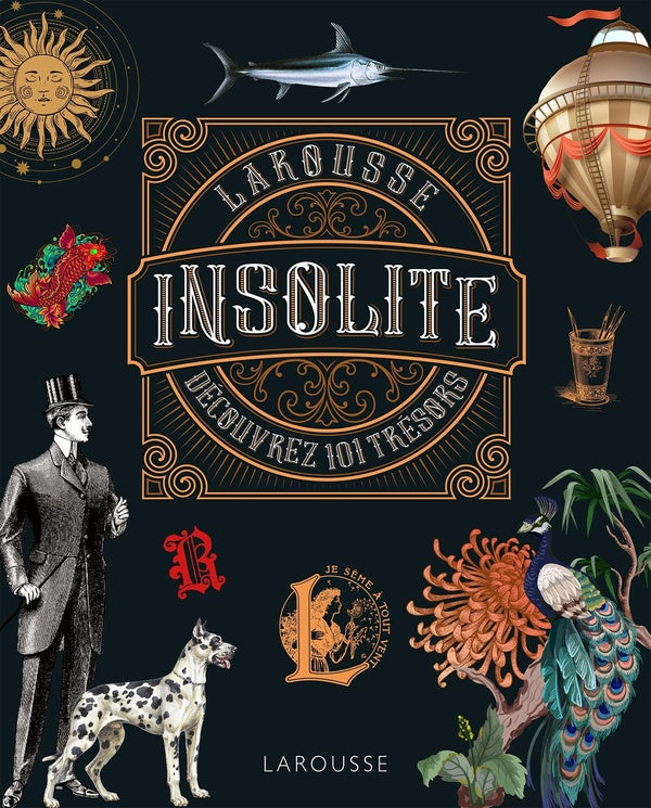 Insolite : découvrez 101 trésors