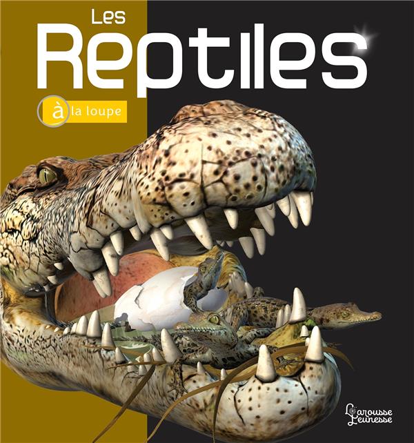 Les reptiles à la loupe