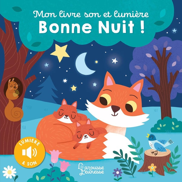 Mon livre son et lumière : bonne nuit !