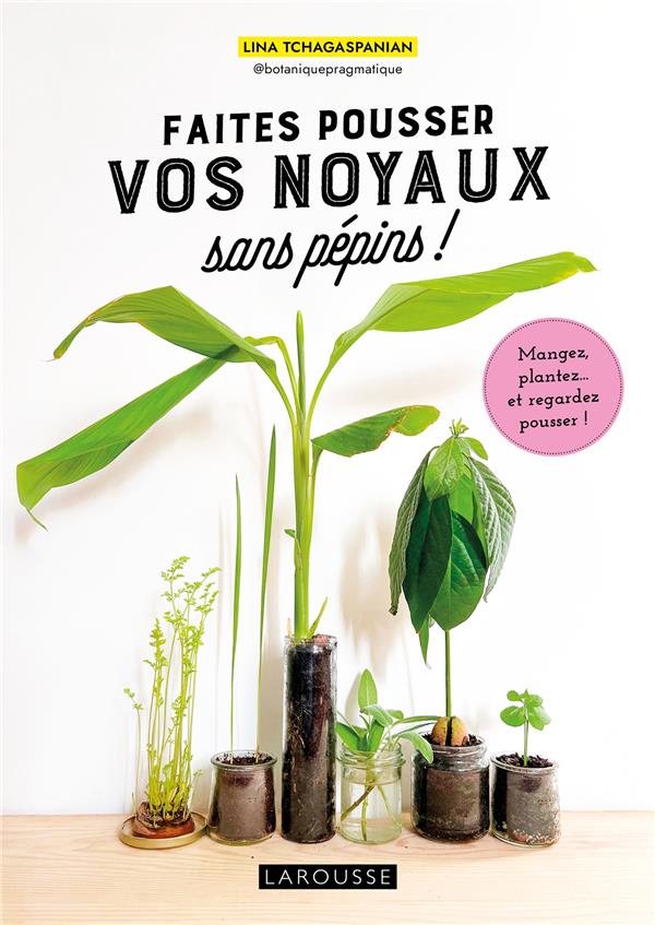 Faites pousser vos noyaux sans pépins ! Mangez, plantez... et regardez pousser !