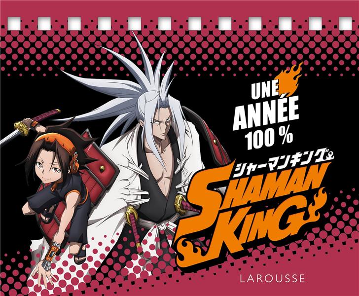 Shaman king : une année 100 %