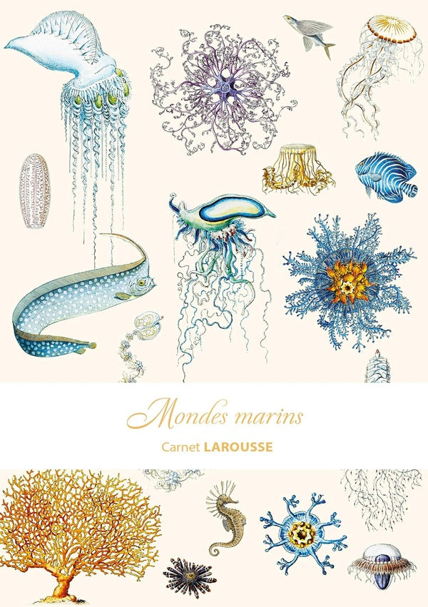 Carnet Larousse : mondes marins