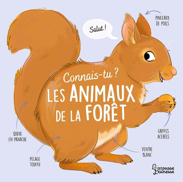 Connais-tu ? Les animaux de la forêt
