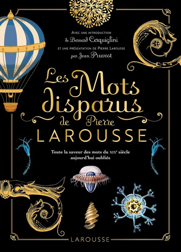 Les mots disparus de Pierre Larousse : Toute la saveur des mots du XIXe siècle aujourd'hui oubliés