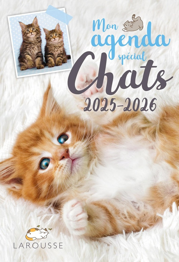 Mon agenda spécial Chats (édition 2025/2026)