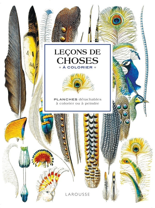 Leçons de choses à colorier : Planches détachables à colorier ou à peindre