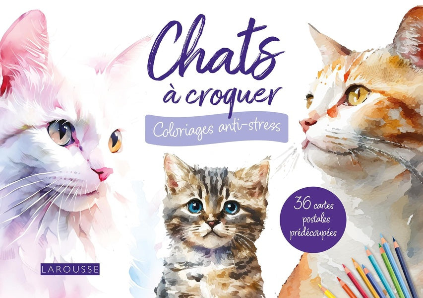 Chats à croquer : Coloriages anti-stress ; 36 cartes postales prédécoupées