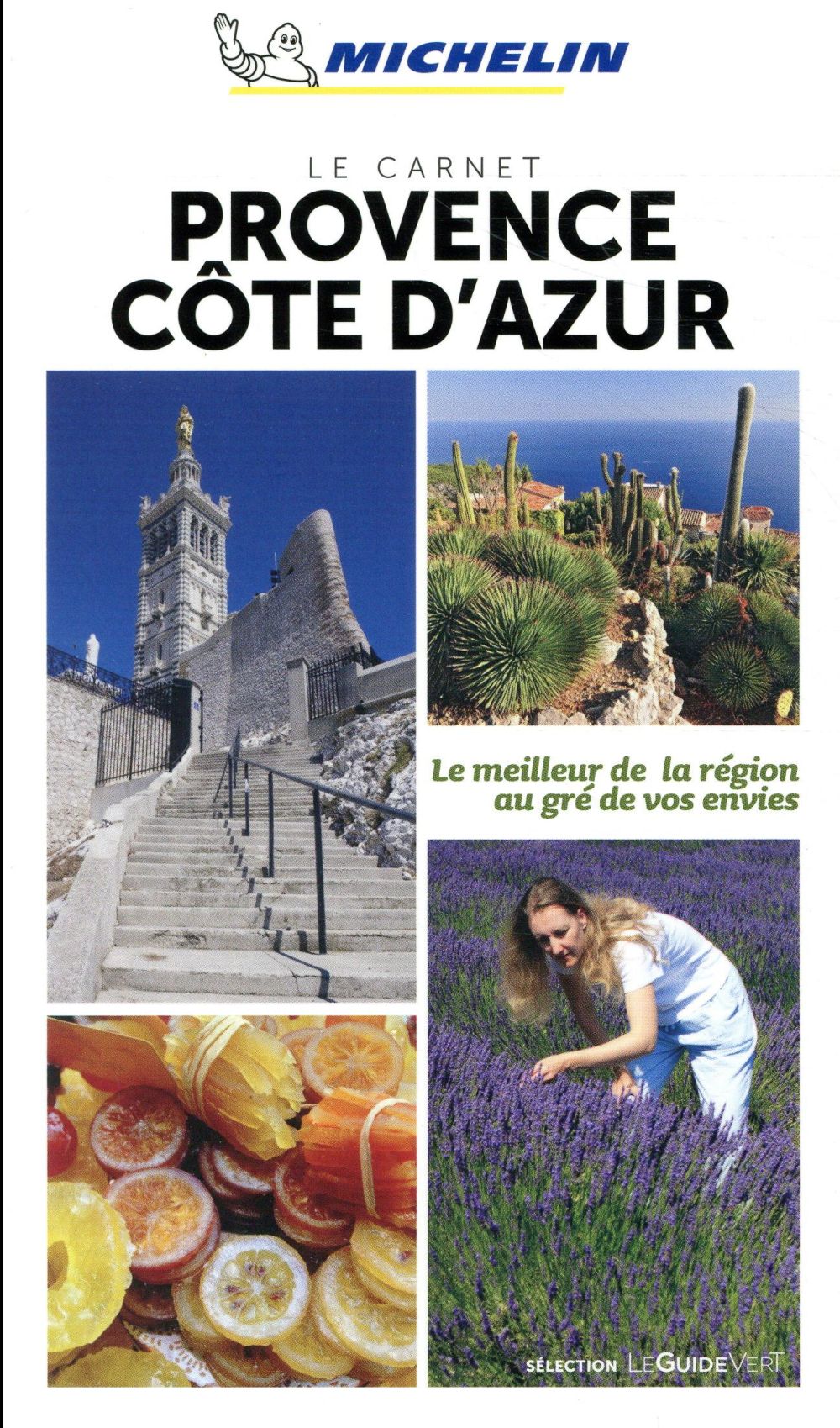 Provence-Alpes-Côte d'azur - flash vidéo