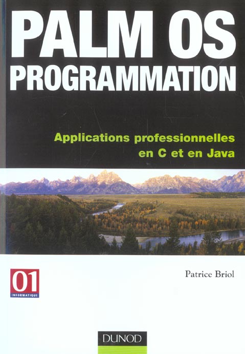 Palm os programmation ; applications professionnelles en c et en java