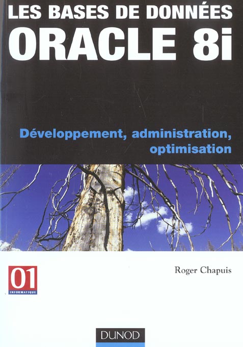 Les bases de donnees oracle 8i - developpement, administration, optimisation
