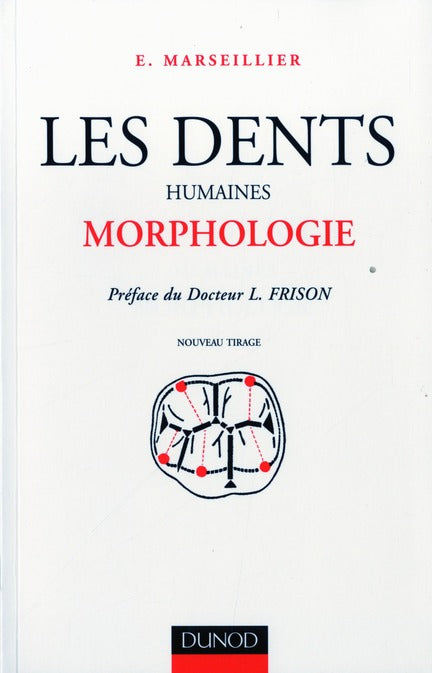 Les dents humaines
