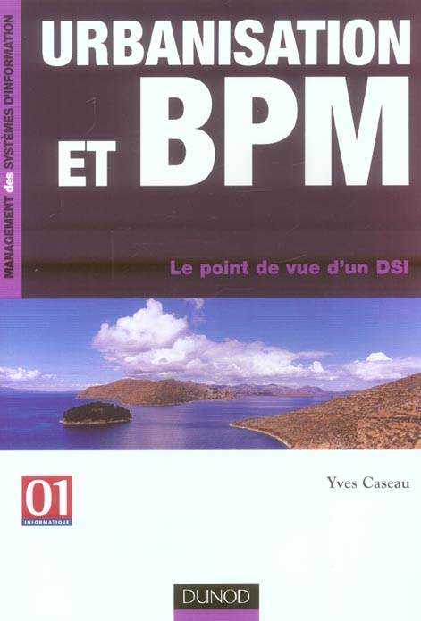 Urbanisation et bpm ; le point de vue d'un dsi