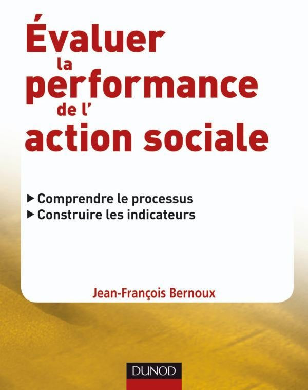 Évaluer la performance de l'action sociale : Comprendre le processus, construire les indicateurs