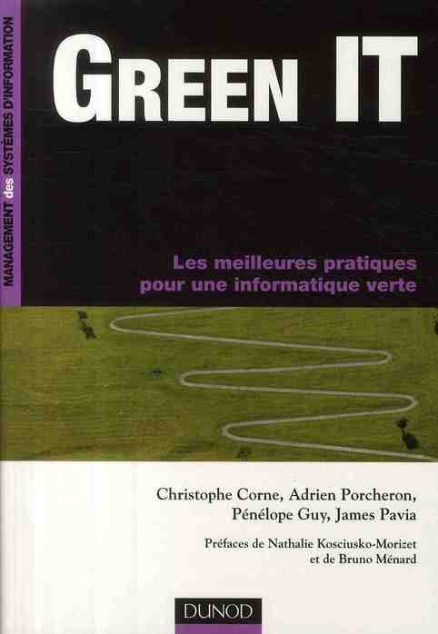 Green it ; les meilleurs pratiques pour une informatique verte