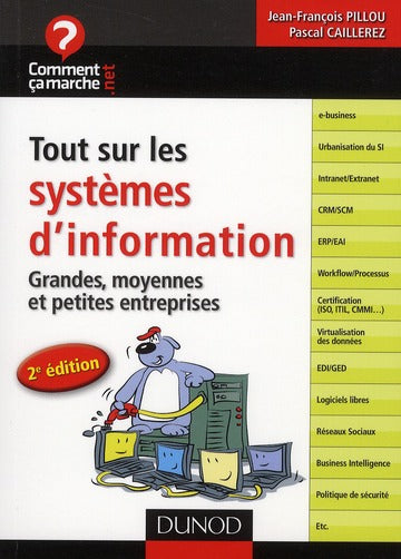 Tout sur les systèmes d'information ; grandes, moyennes et petites entreprises (2e édition)