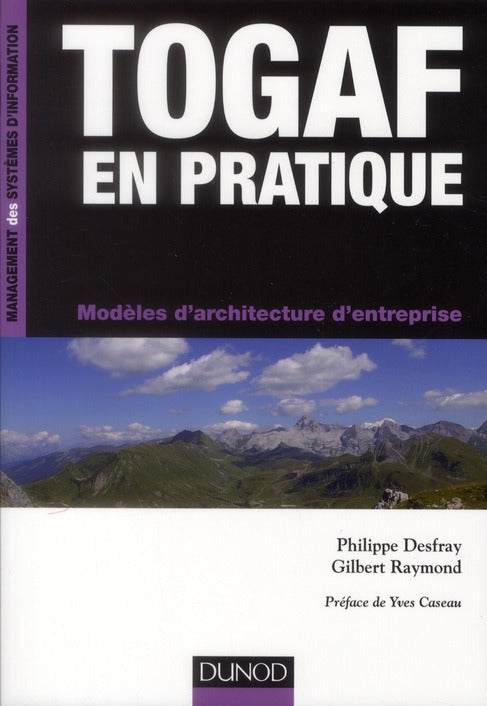 TOGAF en pratique ; modèles d'architecture d'entreprise