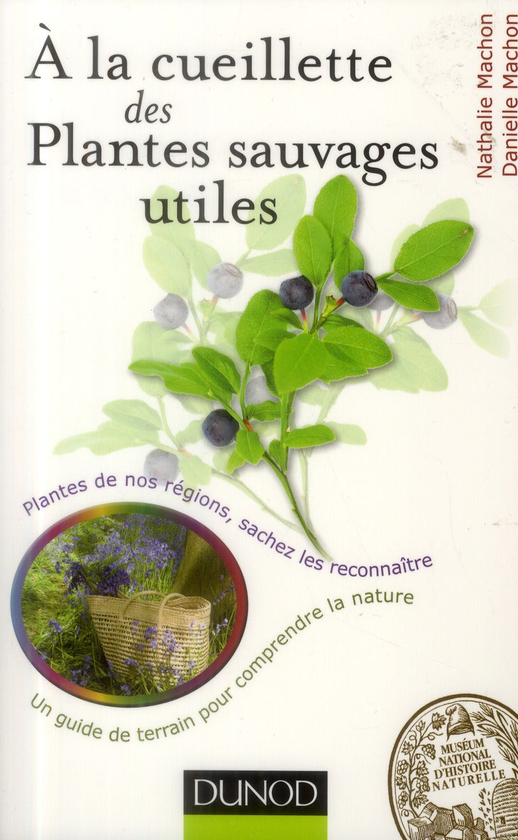 à la cueillette des plantes sauvages utiles