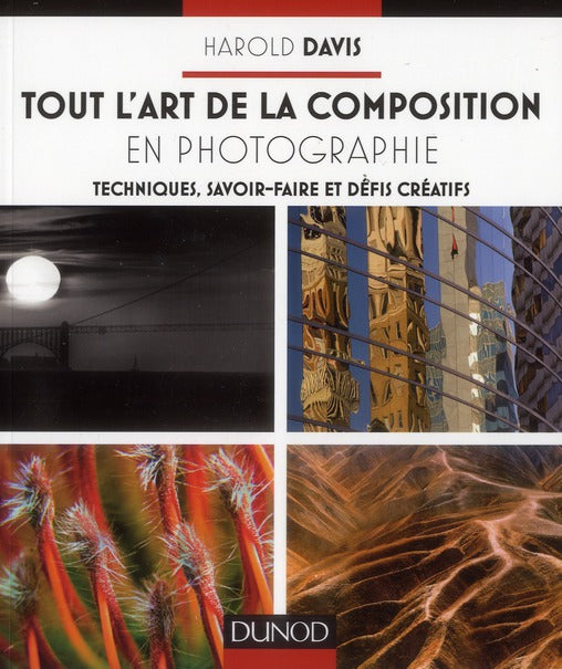 Tout l'art de la composition en photographie ; techniques, savoir-faire et défis créatifs