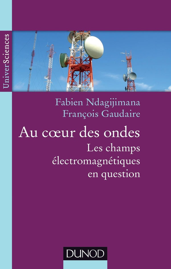 Au coeur des ondes ; les champs électromagnétiques en question