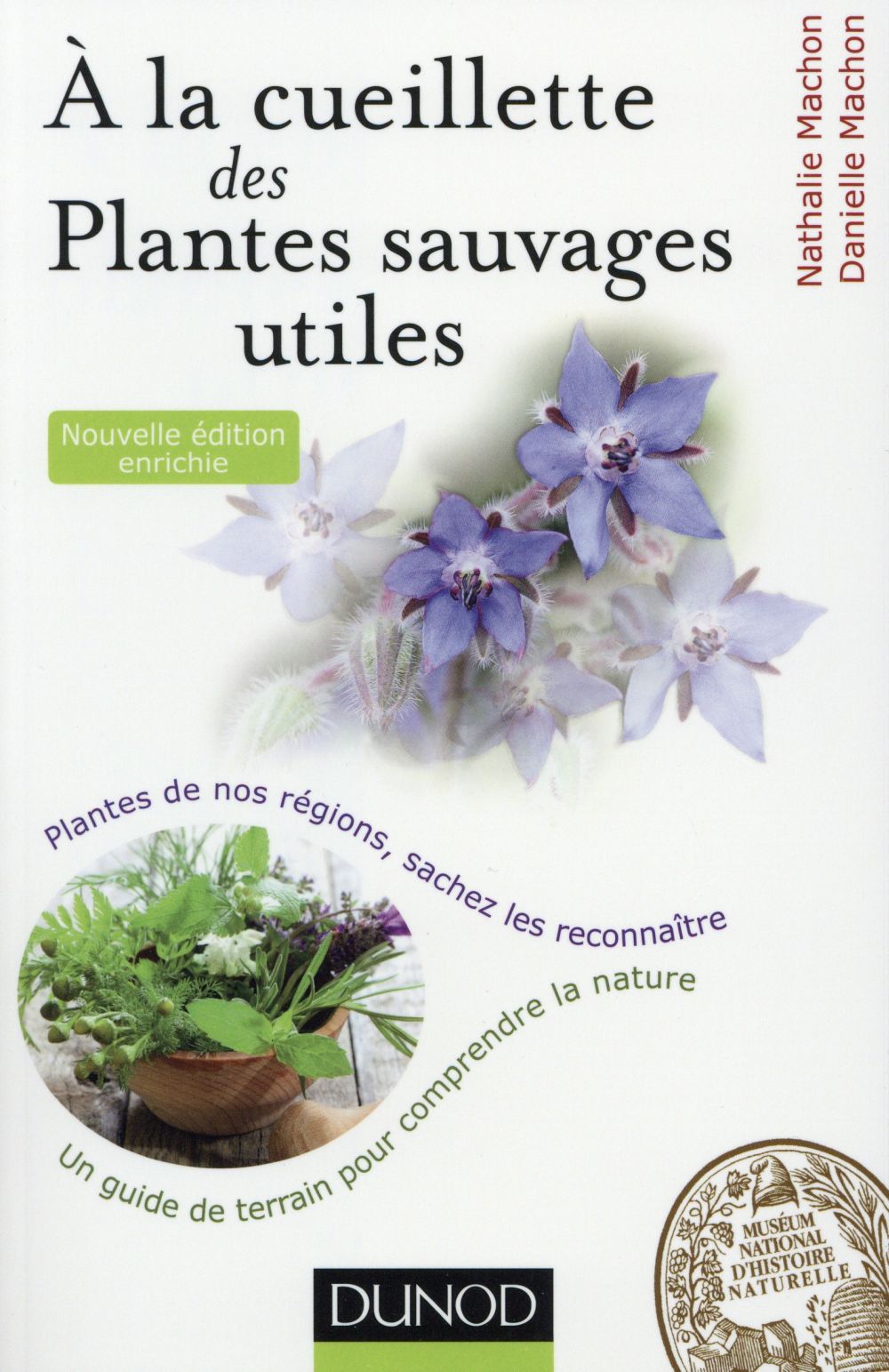 à la cueillette des plantes sauvages utiles (2e édition)