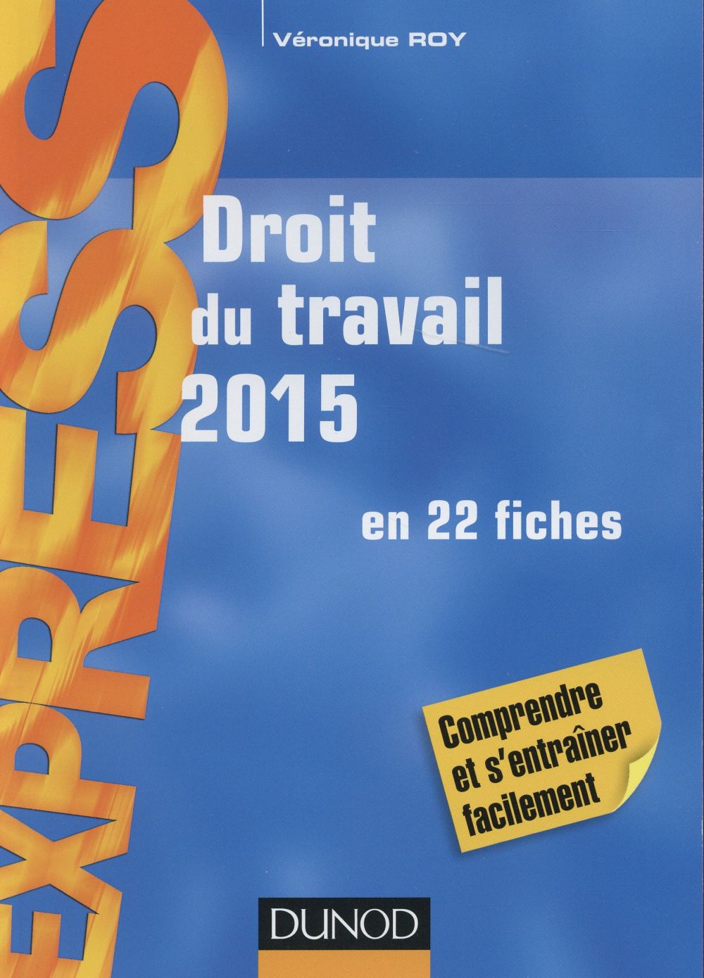 Droit du travail 2015 ; en 22 fiches (19e édition)