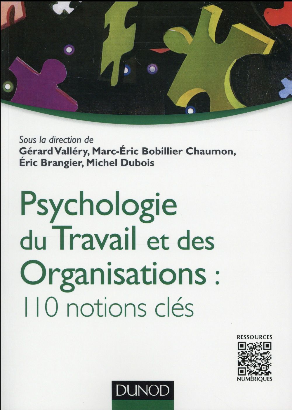 Psychologie du travail et des organisations ; 110 notions clés