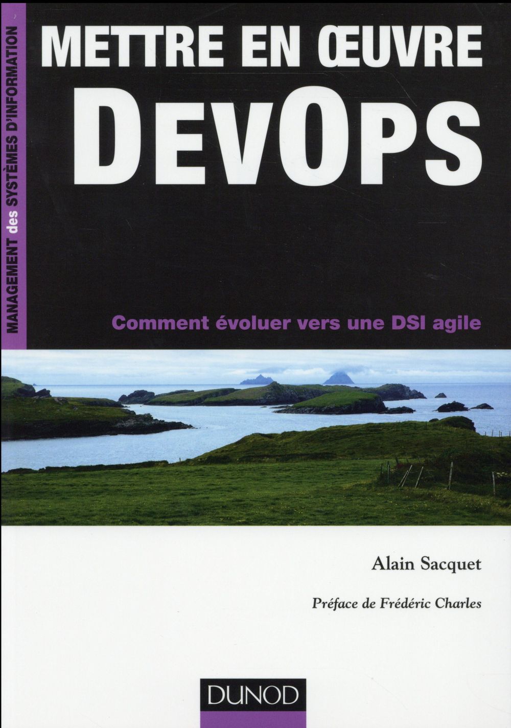 Mettre en oeuvre en DevOps ; organisation, procédés et conduite du changement