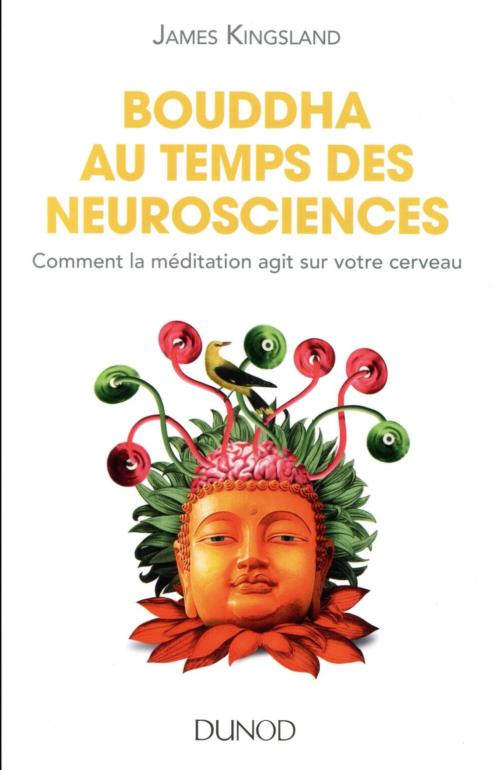 Bouddha au temps des neurosciences ; comment la méditation agit sur notre cerveau