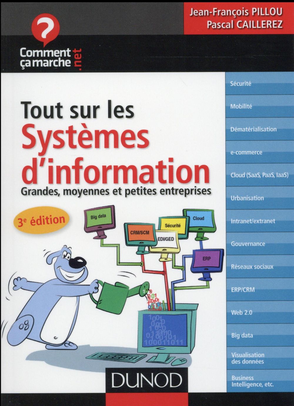 Tout sur le système d'information ; grandes, moyennes et petites entrprises (3e édition)