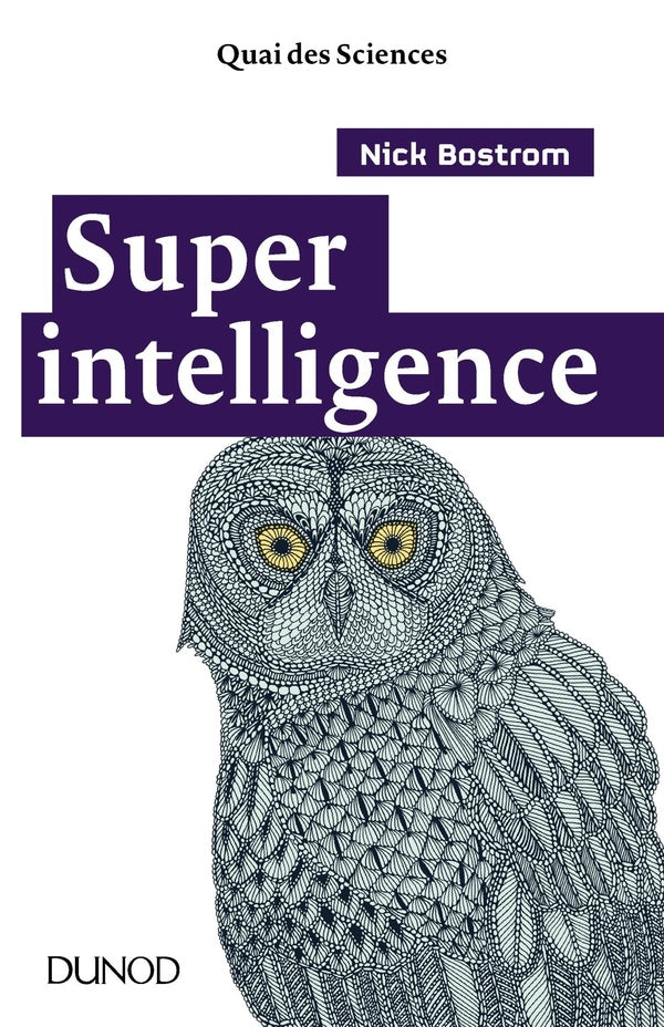 Superintelligence ; évaluer les dangers de l'intelligence artificielle et garder le contrôle