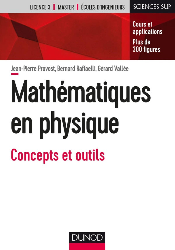 Mathématiques pour la physique ; la physique à travers le filtre des mathématiques