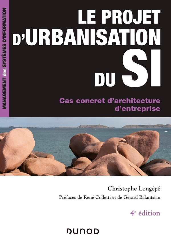 Le projet d'urbanisation du s.i. ; cas concret d'architecture d'entreprise (4e édition)