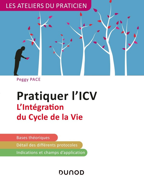 Pratiquer l'ICV ; l'intégration du cycle de la vie (2e édition)