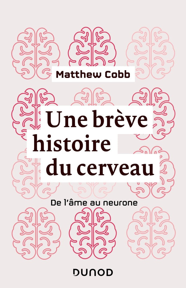 Une brève histoire du cerveau ; de l'âme au neurone