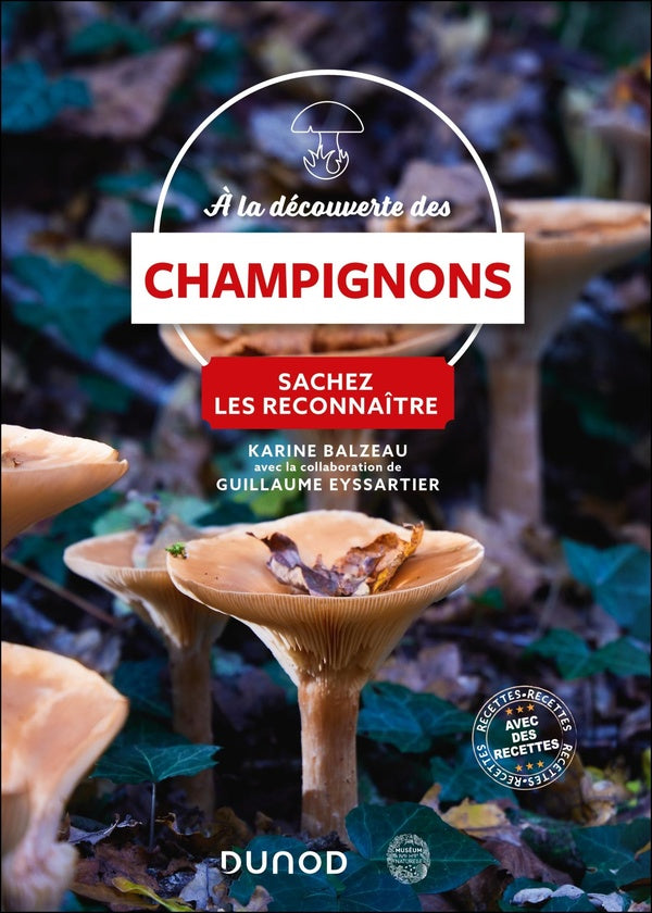 À la découverte des champignons : Sachez les reconnaître