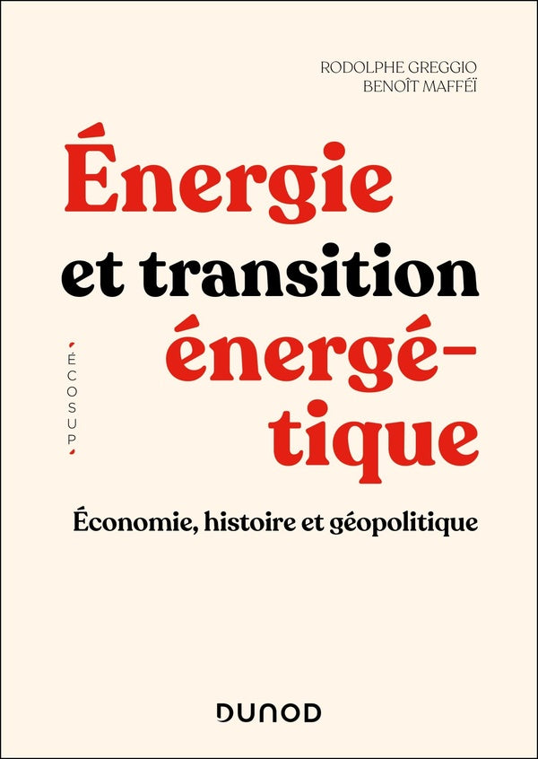 Énergie et transition énergétique : Économie, histoire et géopolitique