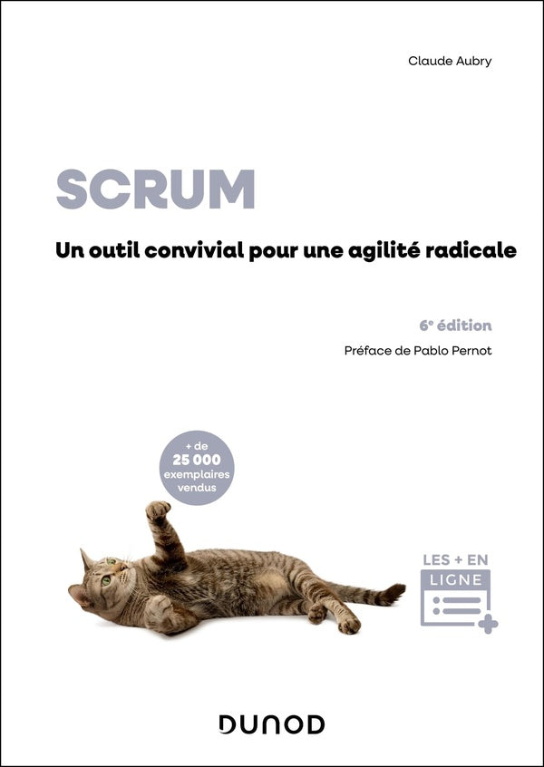 Scrum : Un outil convivial pour une agilité radicale (6e édition)